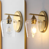 Damon Iron/Glass Cottage Rustic LED Vanity Light