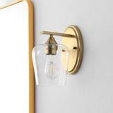 Damon Iron/Glass Cottage Rustic LED Vanity Light
