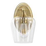 Damon Iron/Glass Cottage Rustic LED Vanity Light