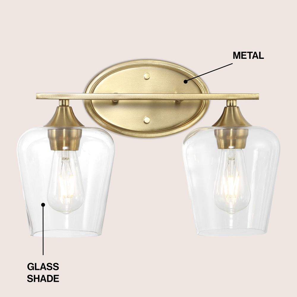 Damon Iron/Glass Cottage Rustic LED Vanity Light