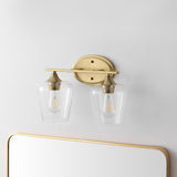 Damon Iron/Glass Cottage Rustic LED Vanity Light