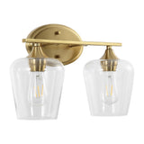 Damon Iron/Glass Cottage Rustic LED Vanity Light