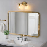 Damon Iron/Glass Cottage Rustic LED Vanity Light