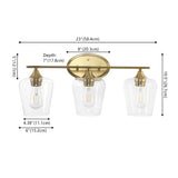 Damon Iron/Glass Cottage Rustic LED Vanity Light