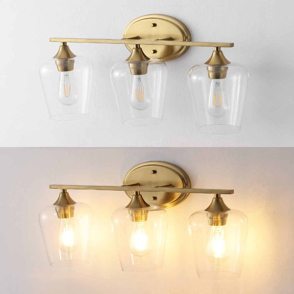 Damon Iron/Glass Cottage Rustic LED Vanity Light