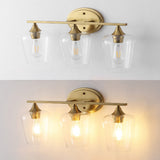 Damon Iron/Glass Cottage Rustic LED Vanity Light