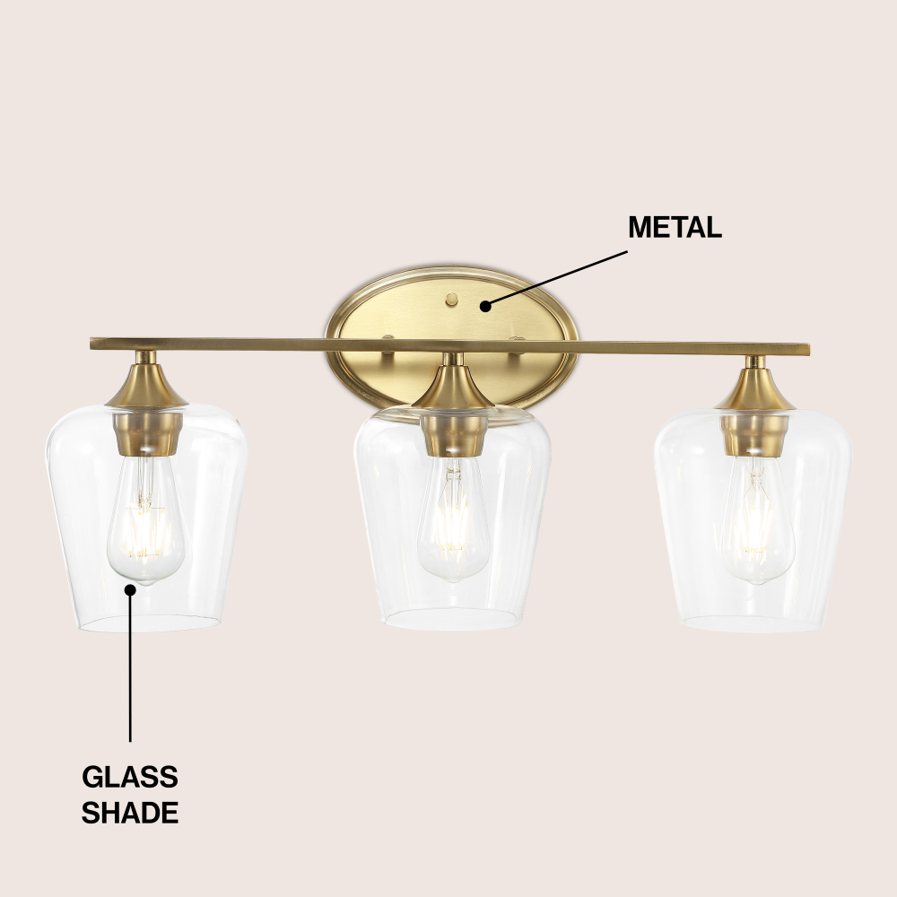 Damon Iron/Glass Cottage Rustic LED Vanity Light