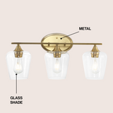 Damon Iron/Glass Cottage Rustic LED Vanity Light