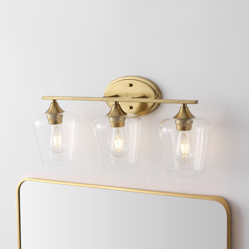 Damon Iron/Glass Cottage Rustic LED Vanity Light