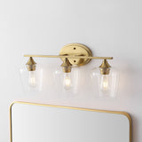 Damon Iron/Glass Cottage Rustic LED Vanity Light