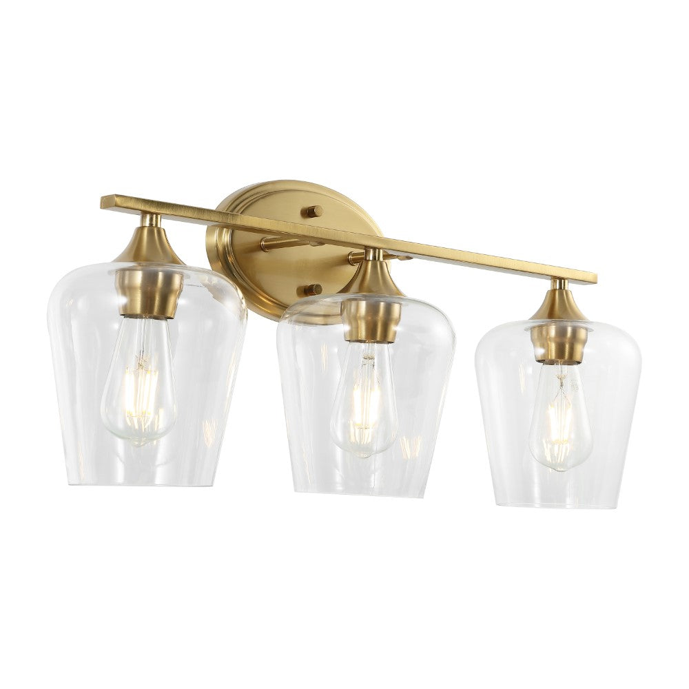 Damon Iron/Glass Cottage Rustic LED Vanity Light