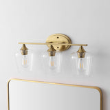 Damon Iron/Glass Cottage Rustic LED Vanity Light