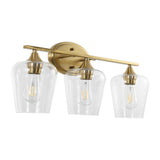 Damon Iron/Glass Cottage Rustic LED Vanity Light