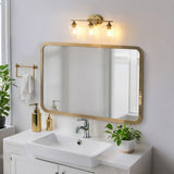 Damon Iron/Glass Cottage Rustic LED Vanity Light