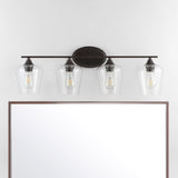 Damon Iron/Glass Cottage Rustic LED Vanity Light