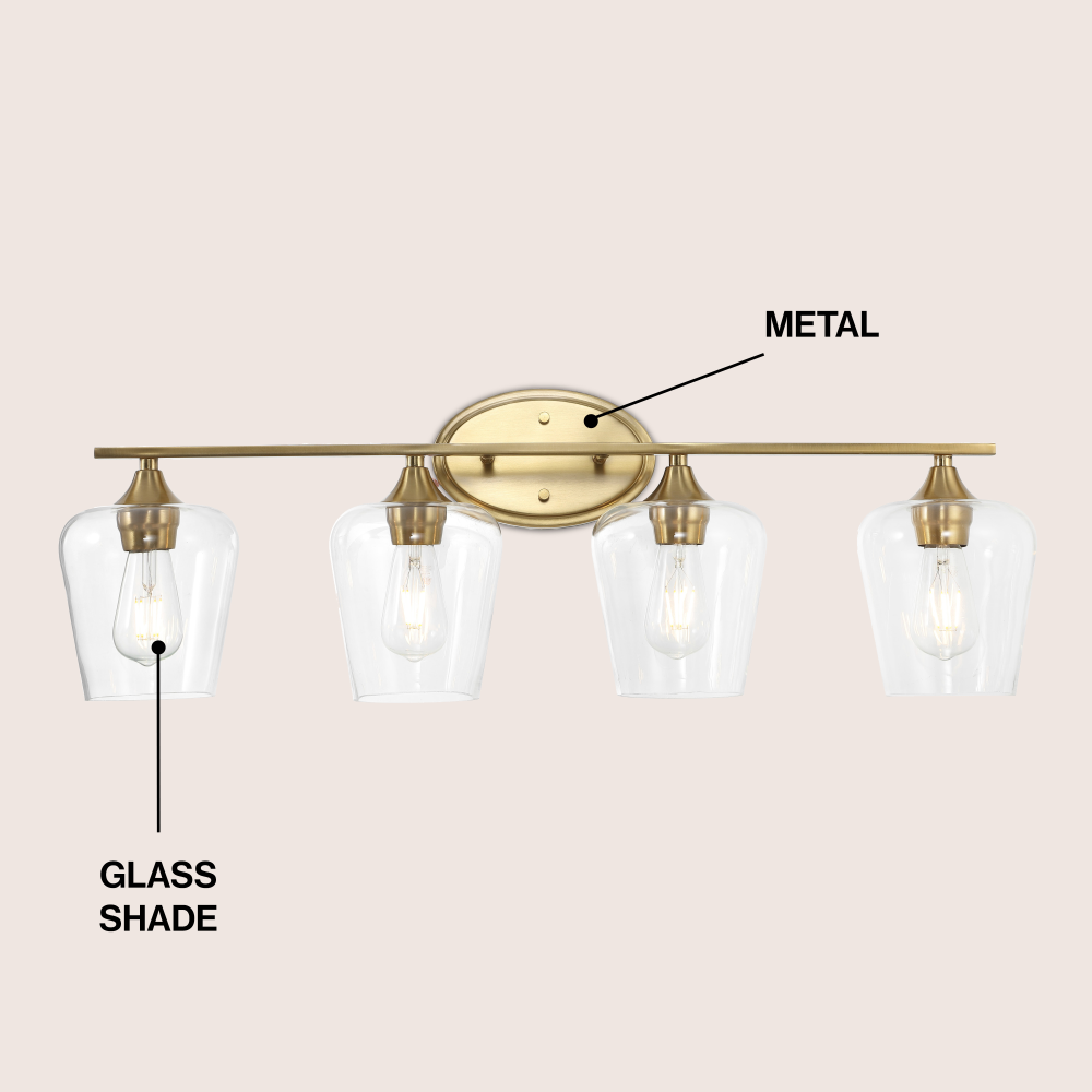 Damon Iron/Glass Cottage Rustic LED Vanity Light
