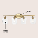 Damon Iron/Glass Cottage Rustic LED Vanity Light