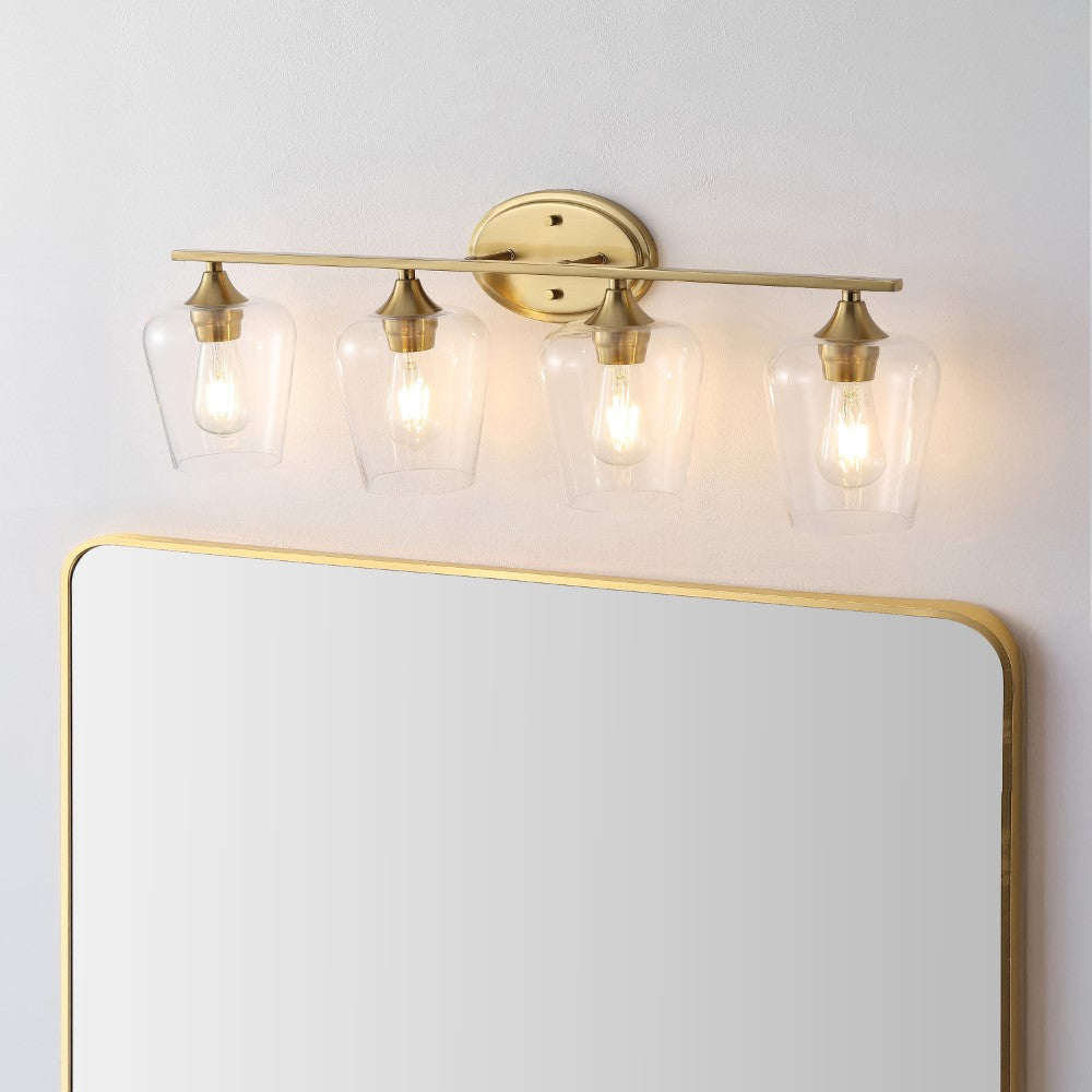 Damon Iron/Glass Cottage Rustic LED Vanity Light