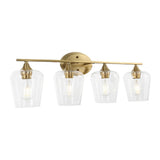 Damon Iron/Glass Cottage Rustic LED Vanity Light