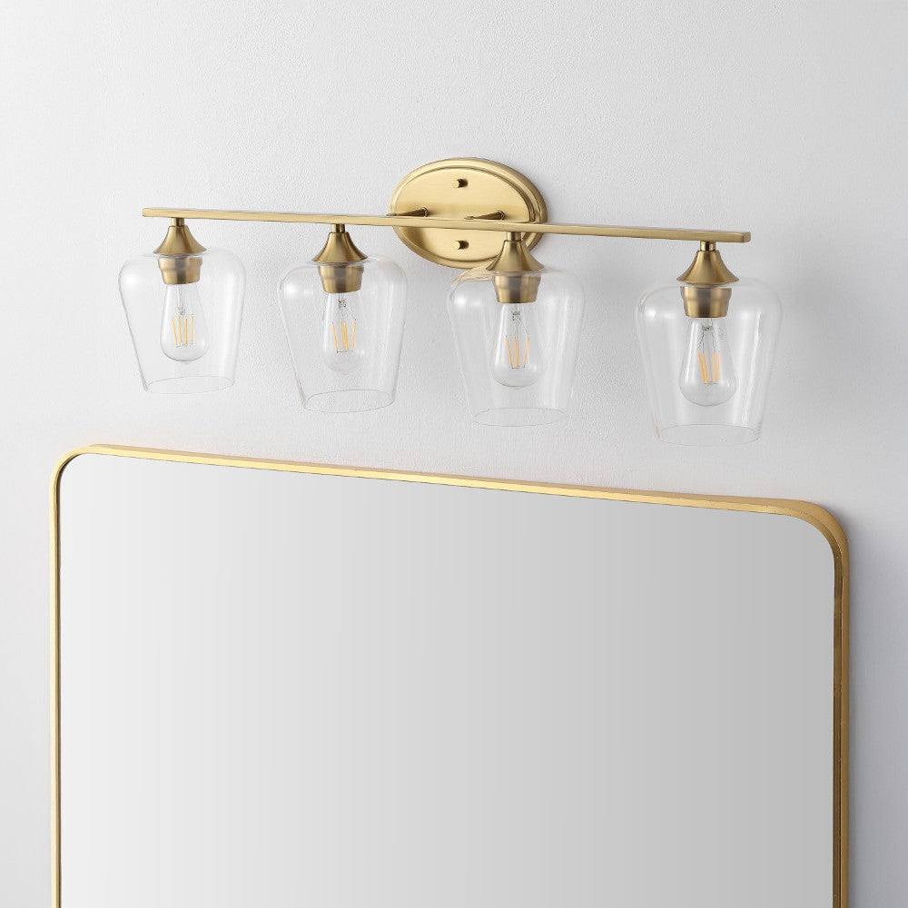 Damon Iron/Glass Cottage Rustic LED Vanity Light