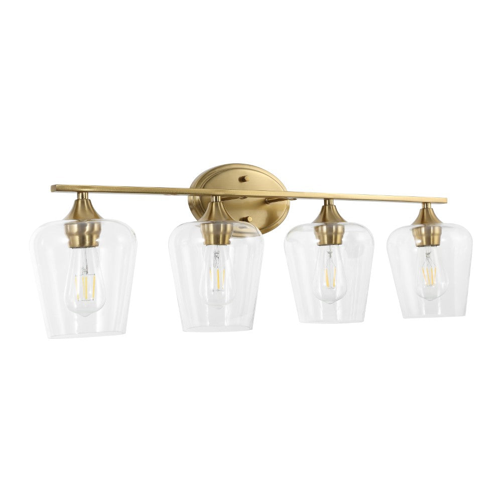 Damon Iron/Glass Cottage Rustic LED Vanity Light