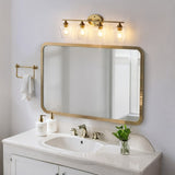 Damon Iron/Glass Cottage Rustic LED Vanity Light