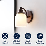Berkley Iron/Frosted Glass Farmhouse Cottage LED Vanity Light