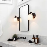 Berkley Iron/Frosted Glass Farmhouse Cottage LED Vanity Light