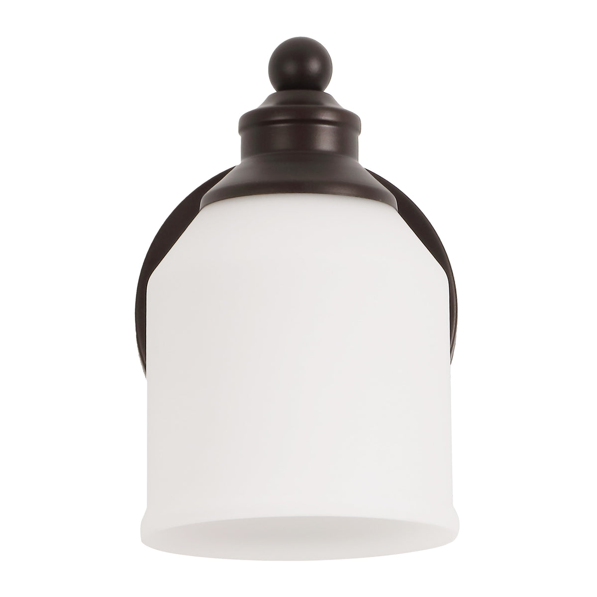 Berkley Iron/Frosted Glass Farmhouse Cottage LED Vanity Light