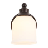 Berkley Iron/Frosted Glass Farmhouse Cottage LED Vanity Light