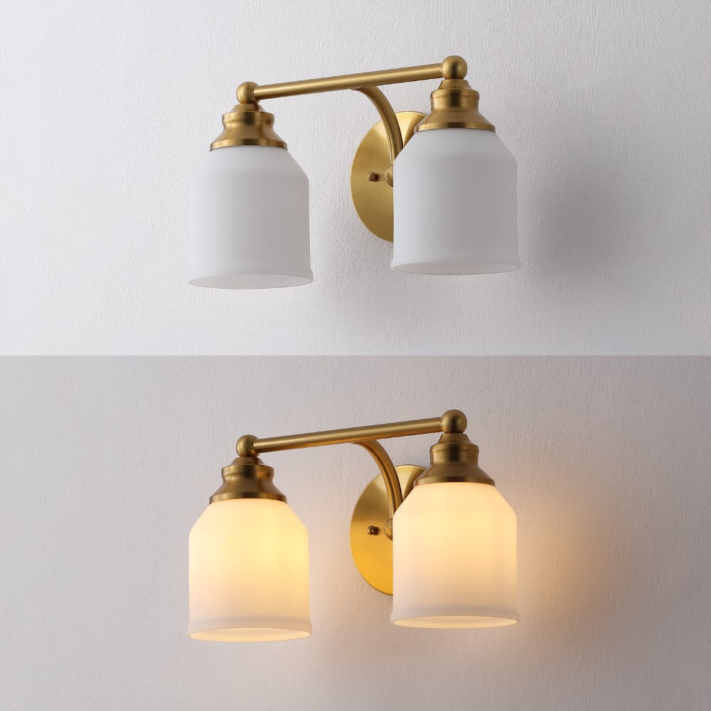 Berkley Iron/Frosted Glass Farmhouse Cottage LED Vanity Light
