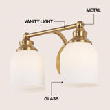 Berkley Iron/Frosted Glass Farmhouse Cottage LED Vanity Light