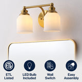Berkley Iron/Frosted Glass Farmhouse Cottage LED Vanity Light