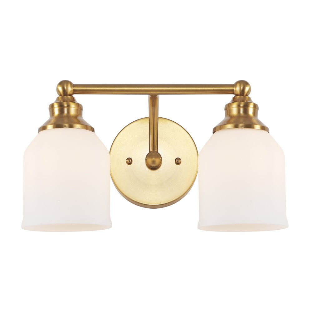 Berkley Iron/Frosted Glass Farmhouse Cottage LED Vanity Light