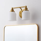 Berkley Iron/Frosted Glass Farmhouse Cottage LED Vanity Light