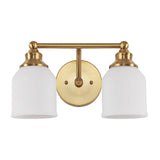 Berkley Iron/Frosted Glass Farmhouse Cottage LED Vanity Light