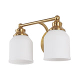 Berkley Iron/Frosted Glass Farmhouse Cottage LED Vanity Light