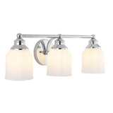 Berkley Iron/Frosted Glass Farmhouse Cottage LED Vanity Light