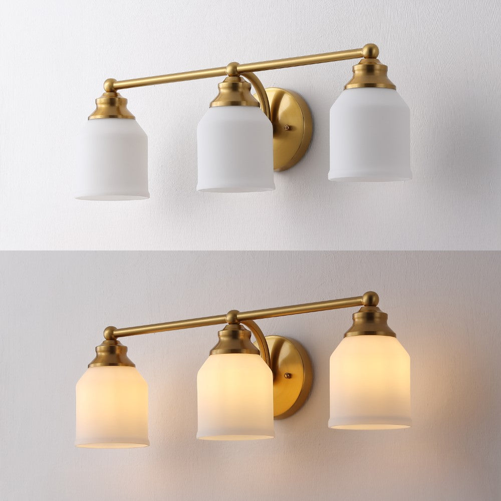 Berkley Iron/Frosted Glass Farmhouse Cottage LED Vanity Light