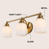 Berkley Iron/Frosted Glass Farmhouse Cottage LED Vanity Light