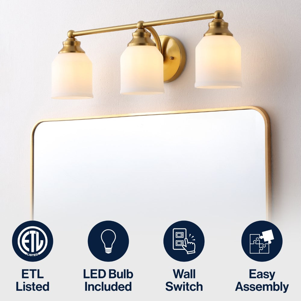 Berkley Iron/Frosted Glass Farmhouse Cottage LED Vanity Light
