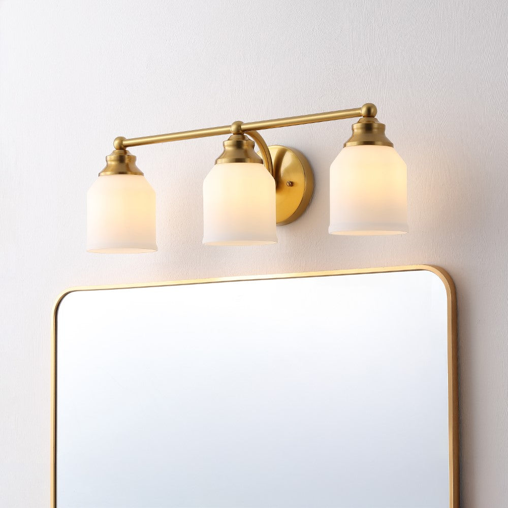 Berkley Iron/Frosted Glass Farmhouse Cottage LED Vanity Light