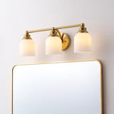 Berkley Iron/Frosted Glass Farmhouse Cottage LED Vanity Light