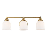 Berkley Iron/Frosted Glass Farmhouse Cottage LED Vanity Light