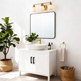 Berkley Iron/Frosted Glass Farmhouse Cottage LED Vanity Light