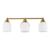 Berkley Iron/Frosted Glass Farmhouse Cottage LED Vanity Light