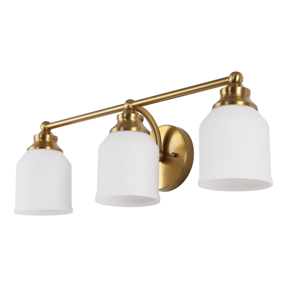 Berkley Iron/Frosted Glass Farmhouse Cottage LED Vanity Light
