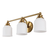 Berkley Iron/Frosted Glass Farmhouse Cottage LED Vanity Light