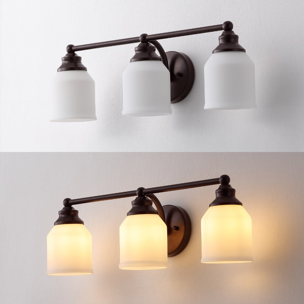 Berkley Iron/Frosted Glass Farmhouse Cottage LED Vanity Light