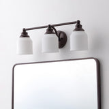 Berkley Iron/Frosted Glass Farmhouse Cottage LED Vanity Light